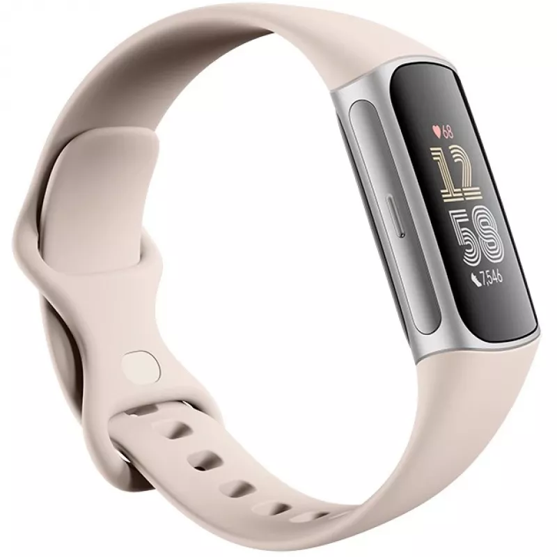 Fitbit GA05185-EU Produkt Silber