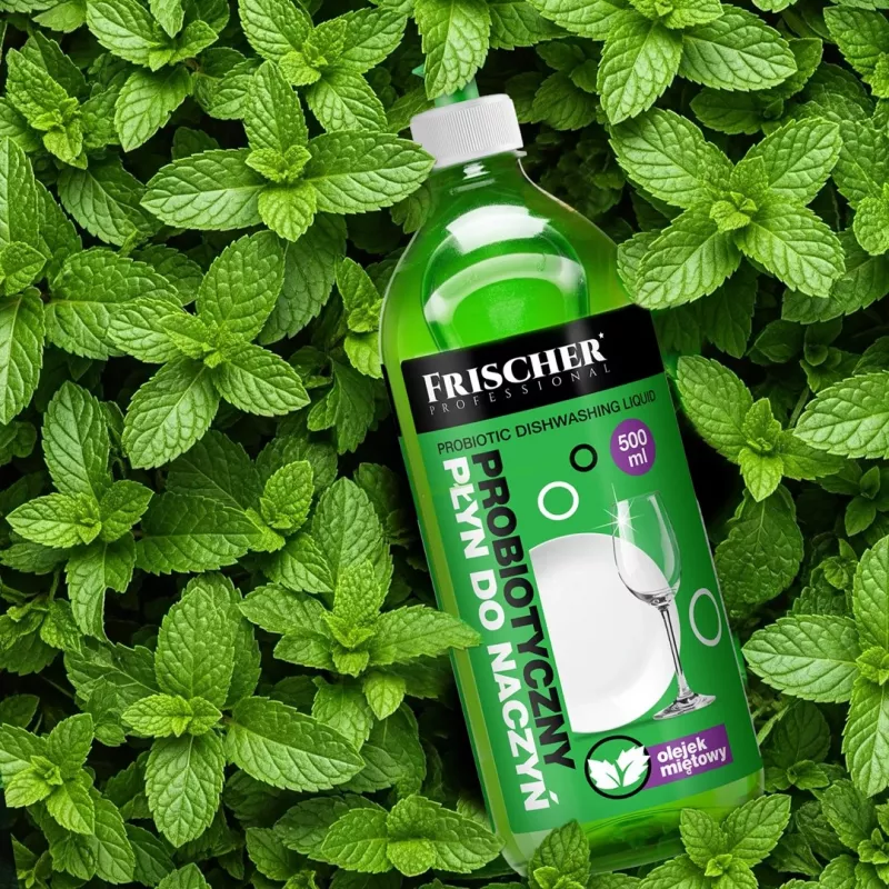 Geschirrspülmittel FRISCHER 500 ml — konzentriertes Küchenreinigungsmittel zum Geschirrspülen von Hand