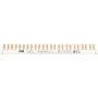 ABB PSc 3/24/10 N Phasenschiene 3Ph.+N 24Pins 10 mm² (2CDL230331R1012)