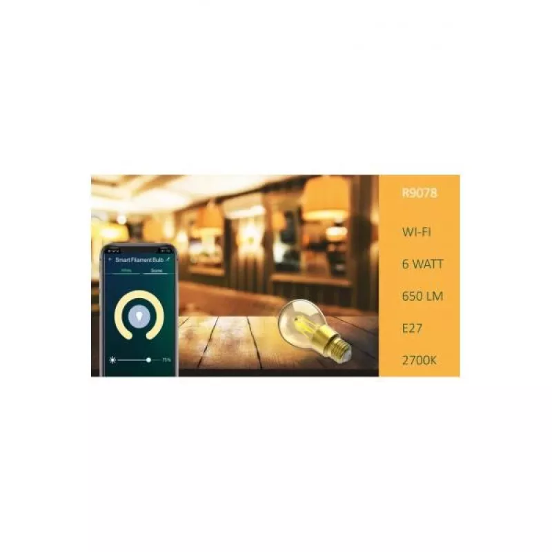Smarte Birne WOOX R9078