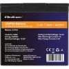 LiFePO4-Batterie QOLTEC 12,8 V 50 Ah (Modell 53704) für Backup und Energiespeicherung