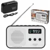 Tragbares Digitalradio Adler AD 1907 — UKW/MW, digitaler Tuner, Wecker, USB-C, 600 mAh Akku, LCD, 20 Senderspeicher, Teleskopantenne