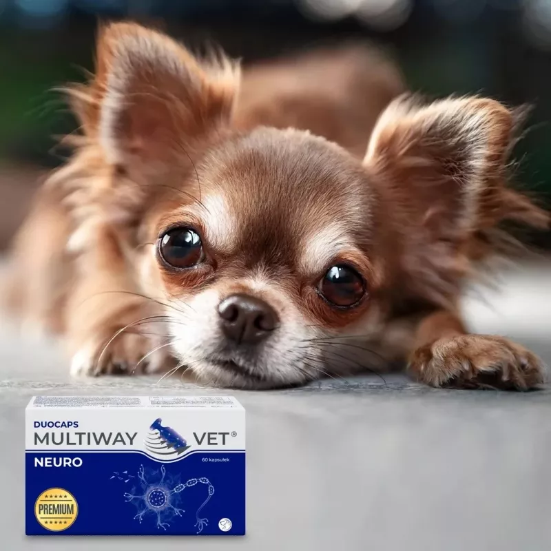 Nahrungsergänzungskapseln JM Sante Multiway Neuro für Hunde und Katzen, 60 Stk., 150 g, reduziert nervöse Anspannung