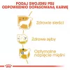 Royal Canin Poodle Adult Trockenfutter für Hunde 1,5 kg — Huhn, 30 % Protein, 19 % Fett