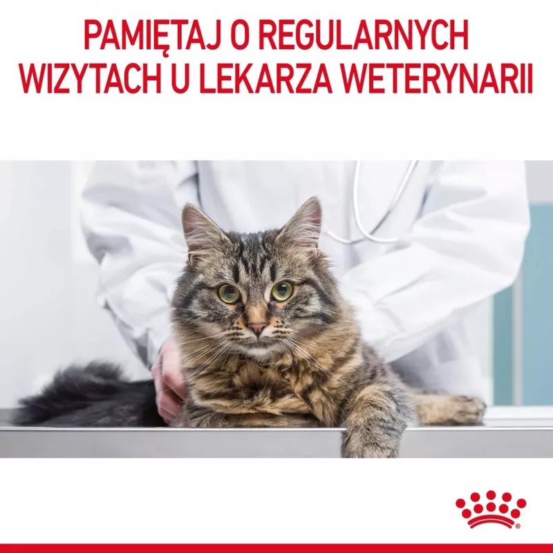 Royal Canin Urinary Care Trockenfutter für Katzen 4 kg