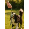 Hundespielzeugball ZOLUX TPR Outdoor, blau