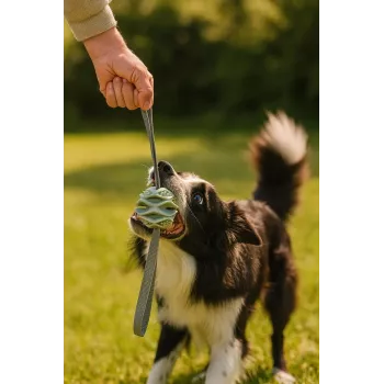Hundespielzeugball ZOLUX TPR Outdoor, blau