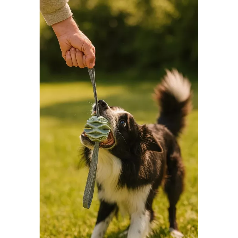 Hundespielzeugball ZOLUX TPR Outdoor, blau