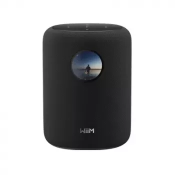 WiiM LPWISND Sound Smart Speaker, schwarz