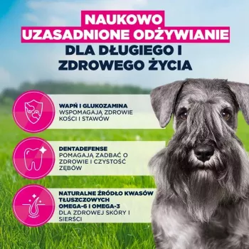 Trockenfutter für Hunde EUKANUBA Mature Small Chicken 3 kg — für ausgewachsene Hunde kleiner Rassen