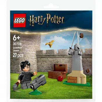 LEGO Harry Potter Set 30706 Quidditch-Unterricht mit Harry und Draco Minifiguren