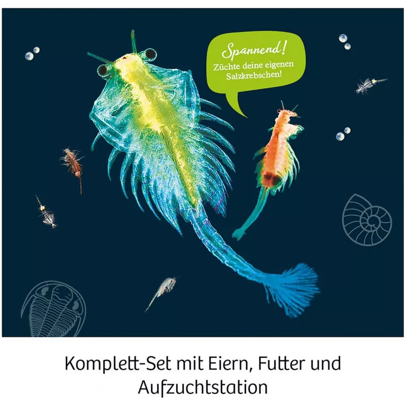 Kosmos 65787, Augmented Reality, 8 Jahr(e), Mehrfarbig Kosmos 65787. Typ: Augmented Reality, Empfohlenes Alter (mind.): 8 Jahr(e), Produktfarbe: Mehrfarbig