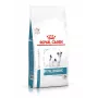Trockenfutter für Hunde Royal Canin Anallergenic Small 1,5 kg — hypoallergene Rezeptur für ausgewachsene Hunde kleiner Rassen