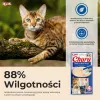 INABA Churu Thunfisch mit Rind Rezept - Katzensnacks - 4x14 g