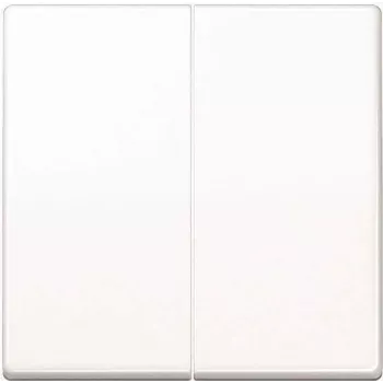 Jung Steuertaste 2-fach Standard AS1702WW (AS1702WW)