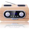Blaupunkt PP5.2CR Radio Portable Wood