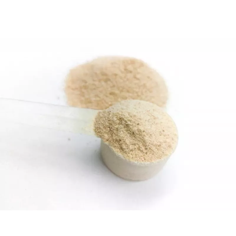 GAME DOG AniFlexi Fit V2 - Nahrungsergänzungsmittel für Hunde - 100 Tabletten