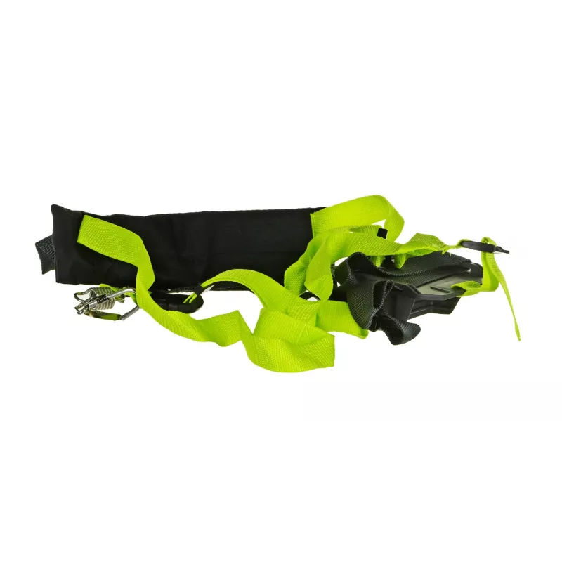 Elektro-Hochentaster 750W 25cm/Ölzubehör RYOBI