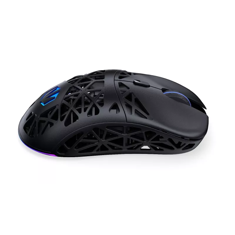 Kabellose Gaming-Maus ENDORFY LIV — für Rechtshänder, optisch 12000 DPI, Bluetooth/2,4 GHz, kabelgebunden USB-A/USB-C, 5 Tasten, aRGB-Beleuchtung