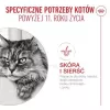 Nassfutter für Katzen Royal Canin FHN Ageing 11+ Gravy 12×85 g – Senior Komplett-Nassfutter in Schalen