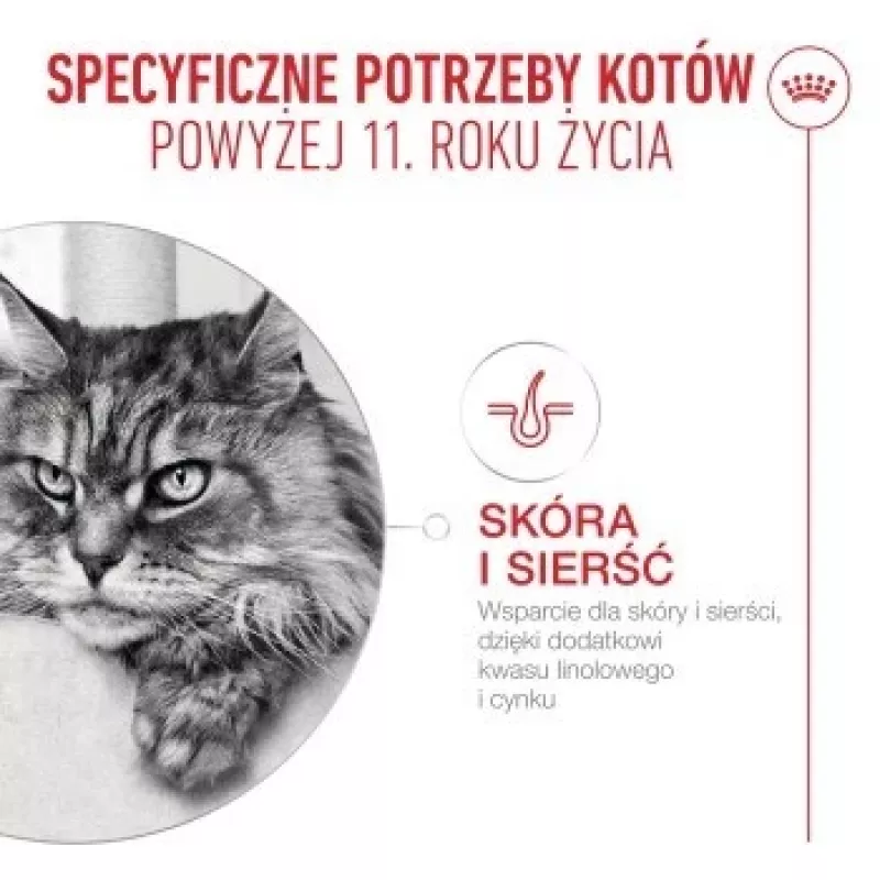 Nassfutter für Katzen Royal Canin FHN Ageing 11+ Gravy 12×85 g – Senior Komplett-Nassfutter in Schalen