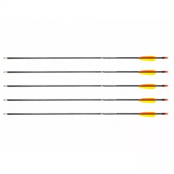 Pfeilset POE LANG D-055-B3 — Glasfaserpfeile, 28 Zoll (710 mm), schwarz, 5er-Set