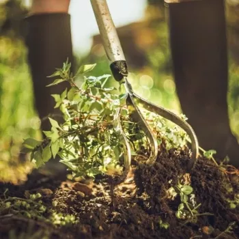 Fiskars Xact™ Cultivator 3 grau, weiß Handgrubber