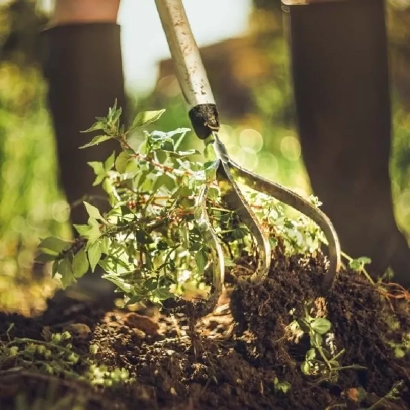 Fiskars Xact™ Cultivator 3 grau, weiß Handgrubber