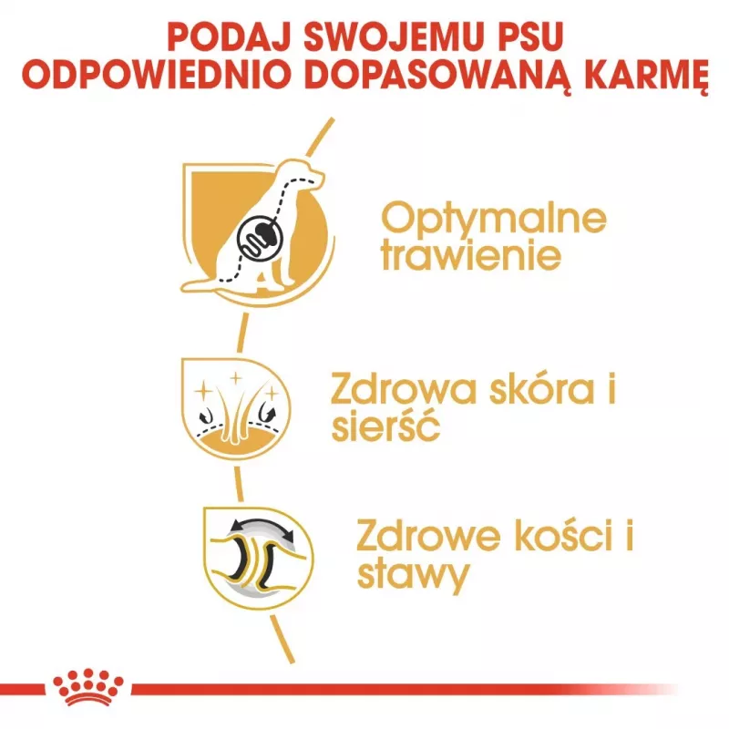 Trockenfutter für Hunde Royal Canin German Shepherd Adult, 11 kg — große Rasse, Geflügel, 24 % Protein, 19 % Fett