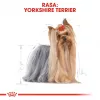 ROYAL CANIN BHN Yorkshire Terrier Adult Trockenfutter für Hunde - 7,5 kg
