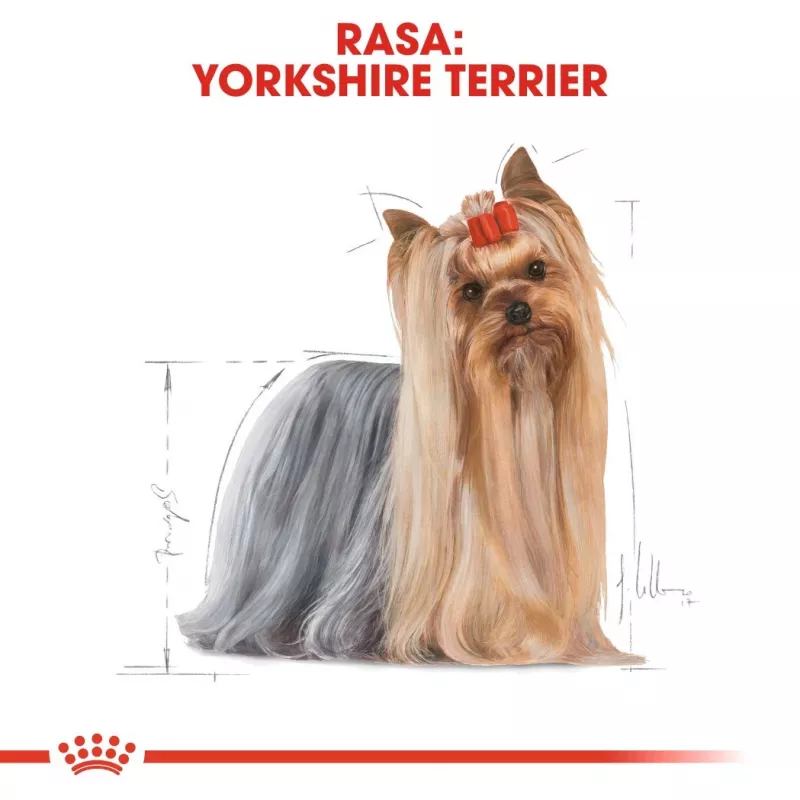 ROYAL CANIN BHN Yorkshire Terrier Adult Trockenfutter für Hunde - 7,5 kg