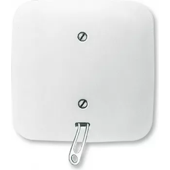 Busch Jaeger 2CKA001315A0027 Elektrischer Schalter Zugschalter Weiß (2CKA001315A0027)