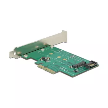 Schnittstellenkarte DeLOCK 89381 intern M.2 SATA