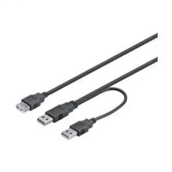 Wentronic Goobay USB 2.0 Hi-Speed Dual-Power-Kabel, Schwarz, 0,3 m - USB 2.0-Stecker (Typ A), USB 2.0-Stecker (Typ A) > USB 2.0-Buchse (Typ A) (93353)