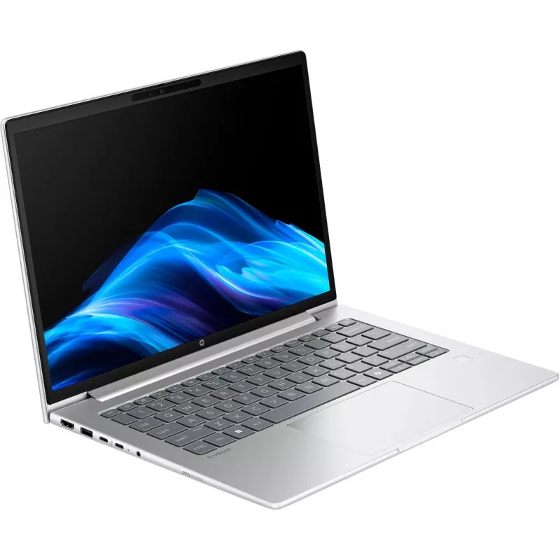 Probook 4 G1a (C07P4ES), Notebook Silber, AMD Ryzen 5 230, AMD Radeon 760M, 16 GB DDR5, 512 GB (512 GB SSD), Windows 11 Pro
