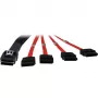 Inter-Tech - SATA-/SAS-Kabel - Serial ATA 150/300/600 - 4-Lane - 36 PIN 4iMini MultiLane auf SATA - 1,0 m - Rot (88885301)