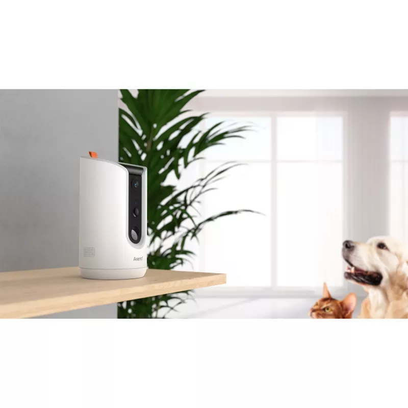Arenti PETCAM1T Indoor WiFi Haustierkamera & Futterspender IP-Sicherheitskamera Tisch