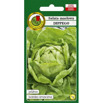 Samenpackung Apte PNOS — Kopfbindesalat 'Dippego' 1 g, Gemüsesamen für den Garten