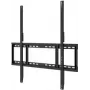 OPTOMA TECHNOLOGY Halterung für N Displays (H1AX00000257)