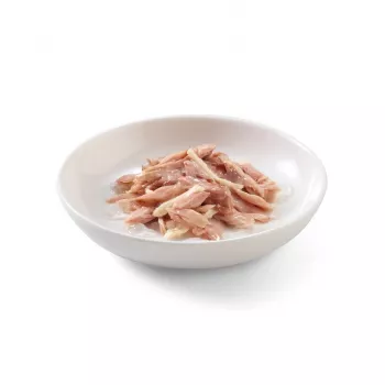 SCHESIR Thunfisch mit Huhn in Gelee - Nassfutter für Katzen - 85 g