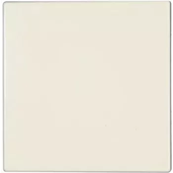 JUNG LS 990 - Elfenbein - 501 U - 502 U - 503 U - 506 U - 507 U - 501-20 U - 506-20 U - 507-20 U - 502 TU - 506 TU - 507 TU - 531 U,... - IP44