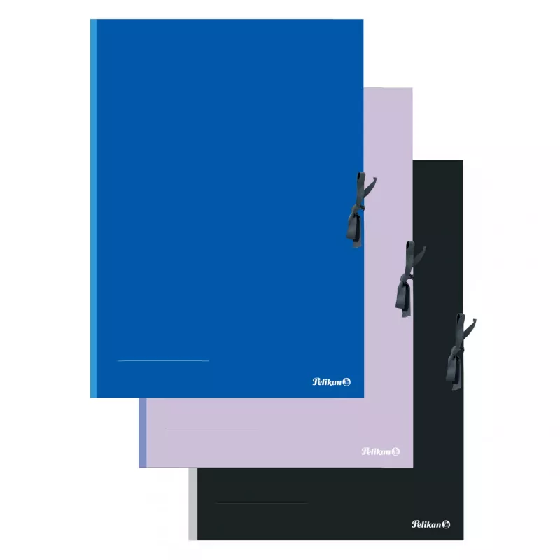 Umlaufmappe Pelikan 276870 Karton Schwarz Blau Pink A2