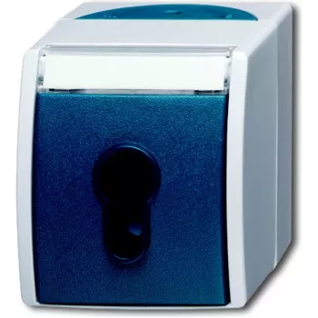 BUSCH JAEGER 2733 SLW-53 - Blau - Grau - IP 44 - 250 V - 74 mm - 55 mm - 83 mm