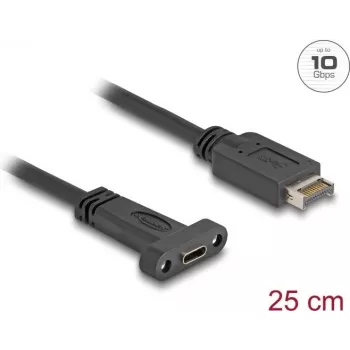 Delock 85454 – USB 3.1 E Key A 20 Pin Stecker auf C Buchse Einbau 25 cm – Digital/Daten – 0,25 m (85454)