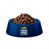PRIMAL SPIRIT Iberian 70 % Lachs – halbfeuchtes Hundefutter – 12 kg