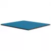 Thermal Grizzly Minus Pad Advance - 100 x 100 x 2,0 mm, 2 Stück