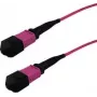 InfiniBand Glasfaserkabel GRAFENTHAL GTOM4MPOUMPOU01000 10 m MPO OFC Violett