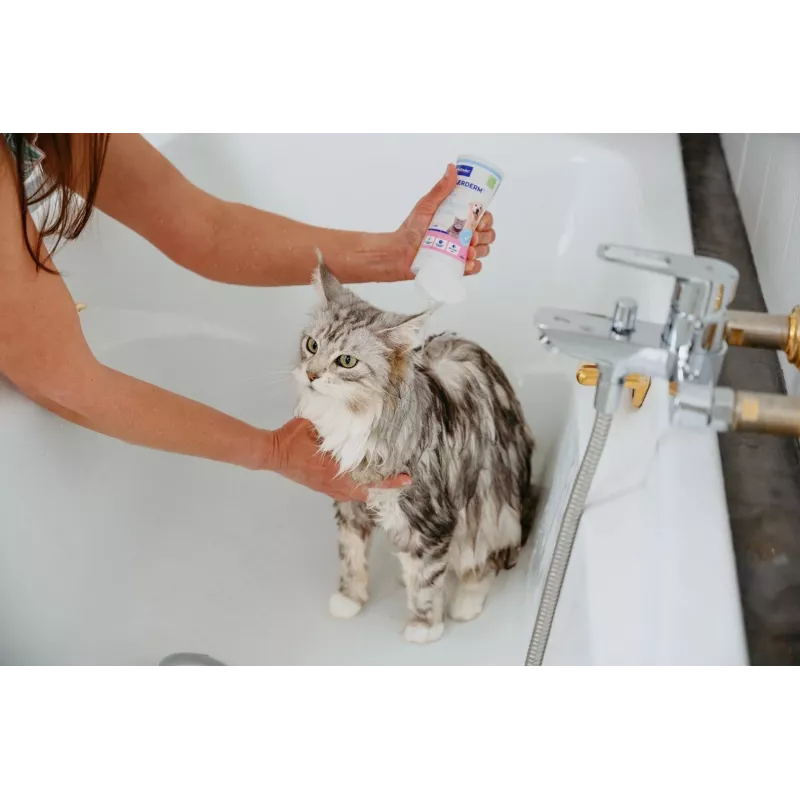 Shampoo VIRBAC Allerderm Normal 250 ml – sanfte Haustier-Hautpflege für Hunde und Katzen