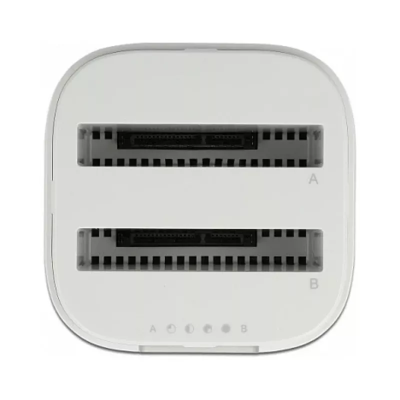 Docking-Station DeLOCK USB Type-C™ 3.2 für 2 x 2,5-Zoll-SATA-Festplatten/SSDs