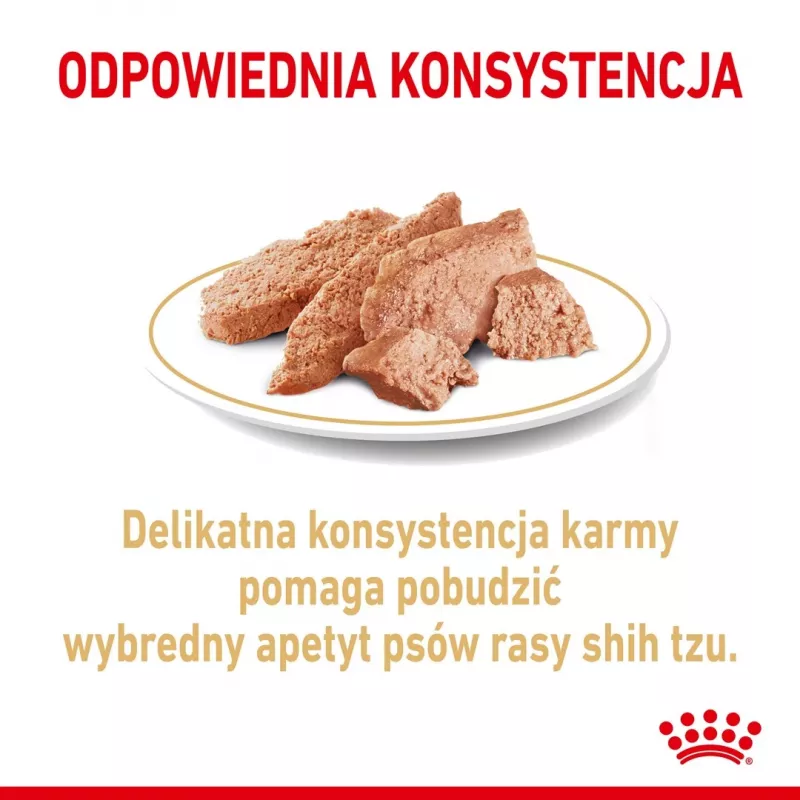 ROYAL CANIN Shih Tzu Adult Nassfutter für Hunde Pastete 12x85 g